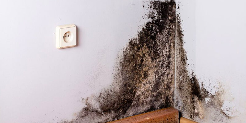 Guide On How Humidity Can Make Your Allergies Worse - Supreme Air Duct Cleaning Austin